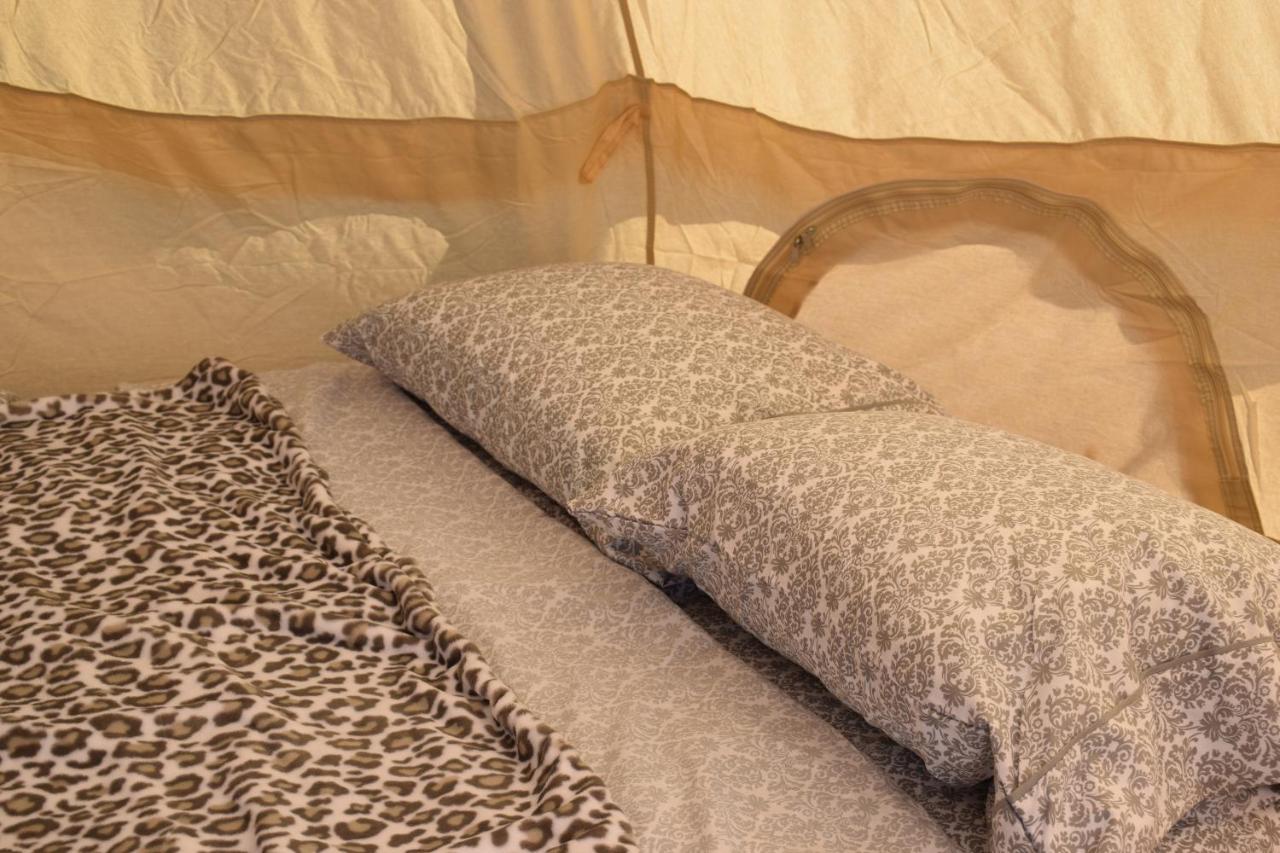 Starlight Tent 3 Holbrook Exterior photo